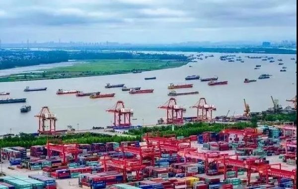 20米無壓降DC24V LED燈帶｜每米120燈均勻發光｜長距離工程首選 - 3