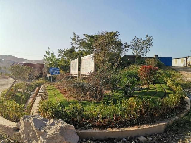 WS2811全彩幻彩LED燈帶｜可編程數(shù)字燈條｜高品質(zhì)柔性燈帶廠家直供 - 4