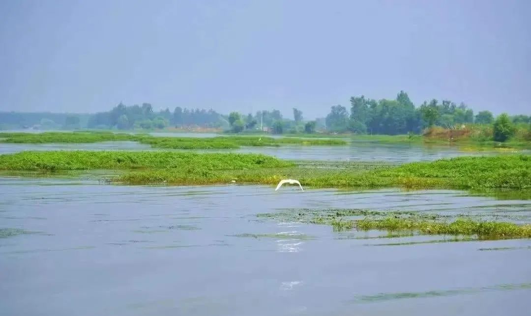 正發光DMX512幻彩硅膠燈帶20x20大發光面低壓燈帶 - 5