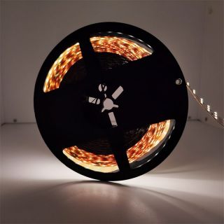 三排270燈/米寬板LED燈帶｜25?mm低壓高亮柔性工程燈帶 - 2